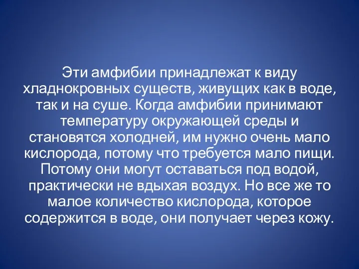 Эти амфибии принадлежат к виду хладнокровных существ, живущих как в