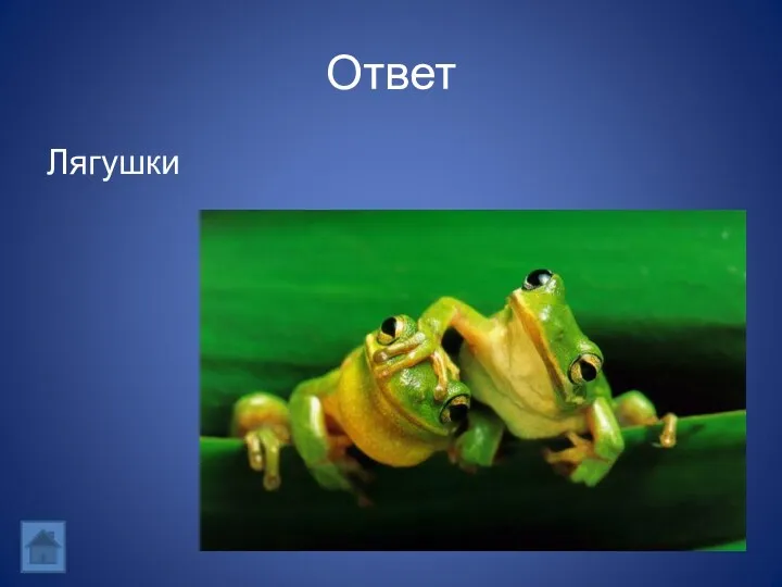 Ответ Лягушки