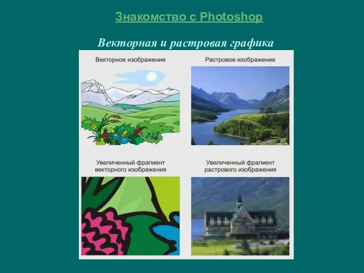 Знакомство с Photoshop Векторная и растровая графика