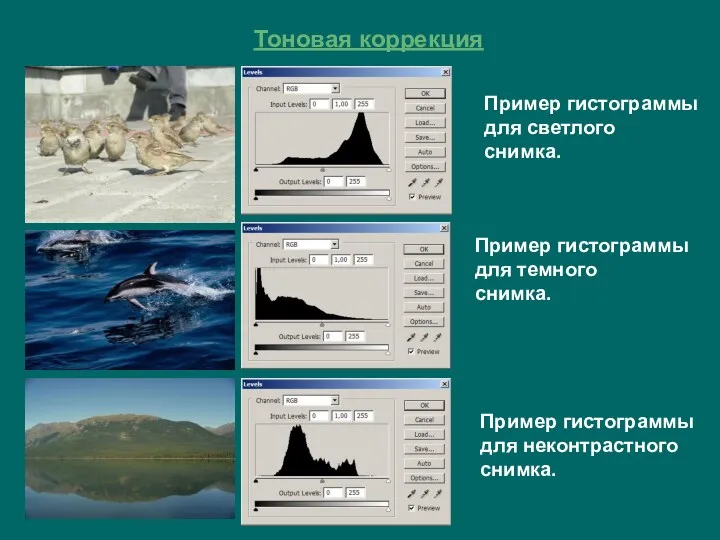 Тоновая коррекция Пример гистограммы для светлого снимка. Пример гистограммы для