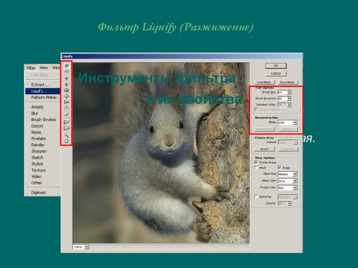 Фильтр Liquify (Разжижение) Фильтр позволяет проделывать сложные преобразования формы у