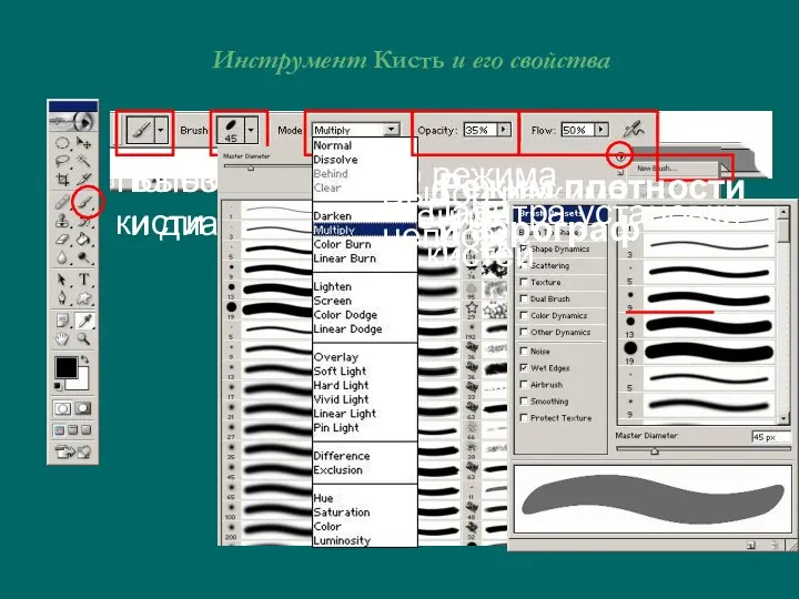 Инструмент Кисть и его свойства Пользовательские кисти Выбор формы и