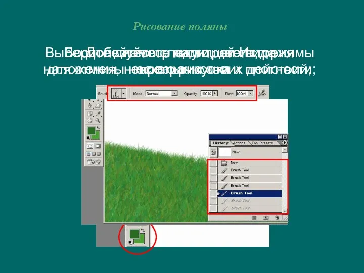 Рисование поляны Выберите диаметр кисти, цвета, режимы наложения, непрозрачности и