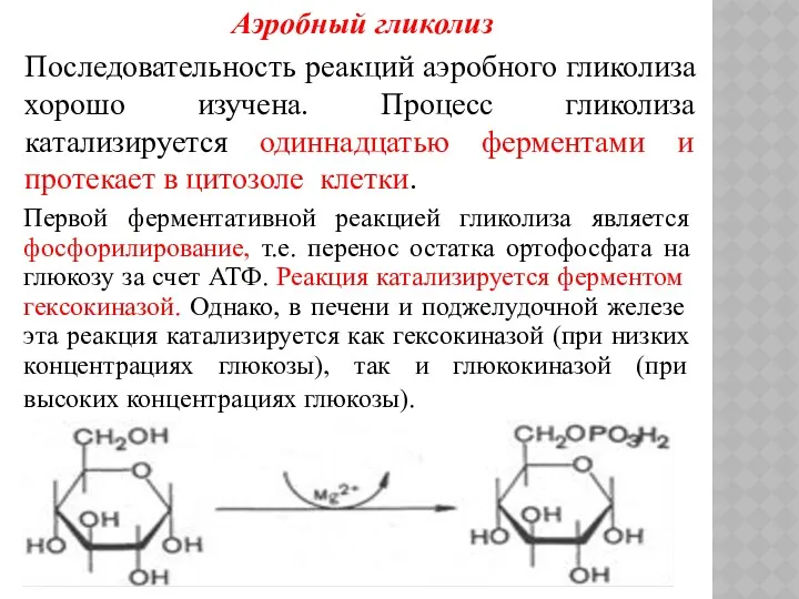 Аэробный гликолиз Последовательность реакций аэробного гликолиза хорошо изучена. Процесс гликолиза