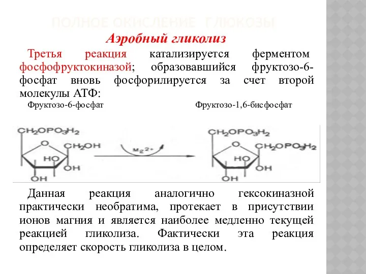 ПОЛНОЕ ОКИСЛЕНИЕ ГЛЮКОЗЫ Аэробный гликолиз Третья реакция катализируется ферментом фосфофруктокиназой;