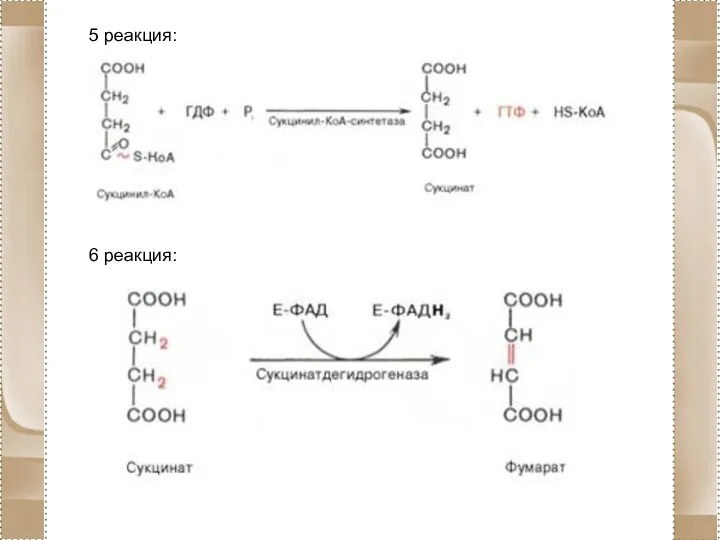 5 реакция: 6 реакция: