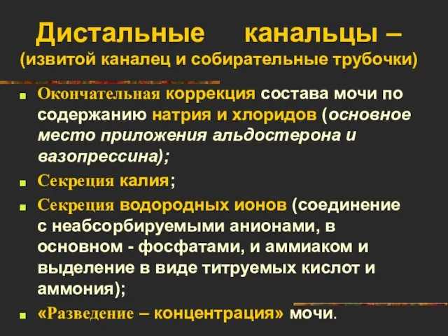 Дистальные канальцы – (извитой каналец и собирательные трубочки) Окончательная коррекция