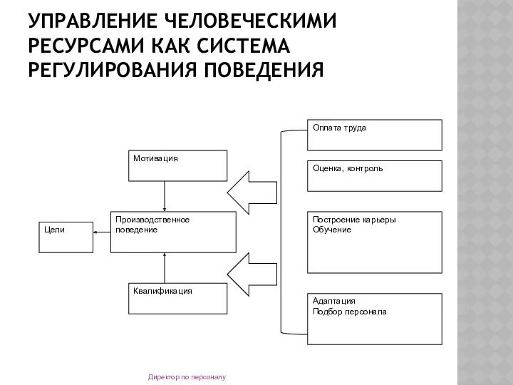 УПРАВЛЕНИЕ ЧЕЛОВЕЧЕСКИМИ РЕСУРСАМИ КАК СИСТЕМА РЕГУЛИРОВАНИЯ ПОВЕДЕНИЯ Директор по персоналу