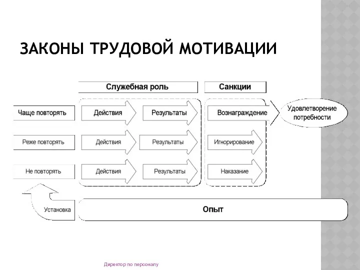 ЗАКОНЫ ТРУДОВОЙ МОТИВАЦИИ Директор по персоналу