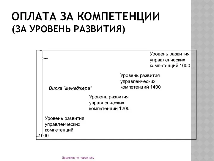 ОПЛАТА ЗА КОМПЕТЕНЦИИ (ЗА УРОВЕНЬ РАЗВИТИЯ) Директор по персоналу