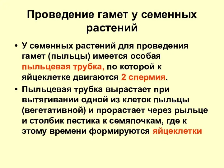 Проведение гамет у семенных растений У семенных растений для проведения