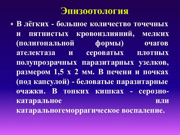 Эпизоотология В лёгких - большое количество точечных и пятнистых кровоизлияний,