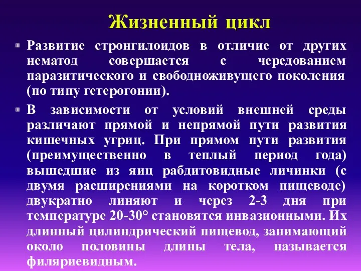 Жизненный цикл Развитие стронгилоидов в отличие от других нематод совершается