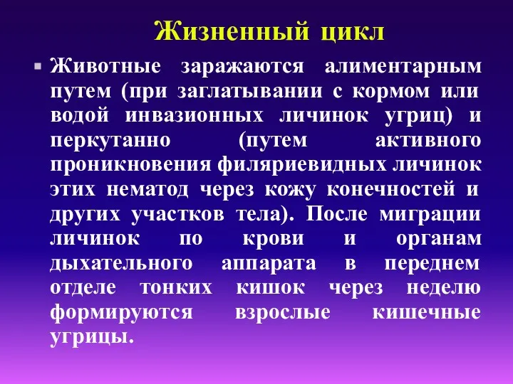 Жизненный цикл Животные заражаются алиментарным путем (при заглатывании с кормом