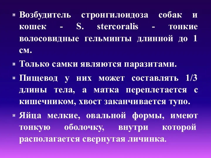 Возбудитель стронгилоидоза собак и кошек - S. stercoralis - тонкие