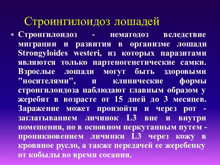 Строингилоидоз лошадей Стронгилоидоз - нематодоз вследствие миграции и развития в