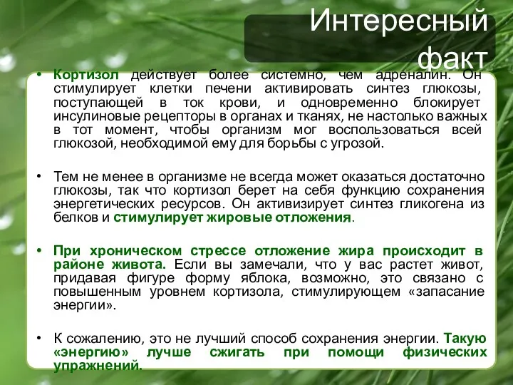 Интересный факт Кортизол действует более системно, чем адреналин. Он стимулирует