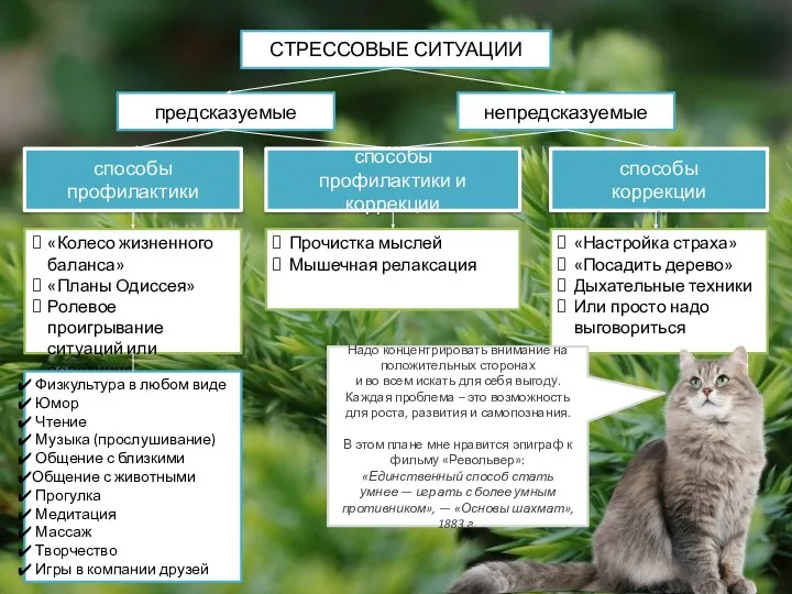 СТРЕССОВЫЕ СИТУАЦИИ предсказуемые непредсказуемые способы профилактики способы коррекции способы профилактики