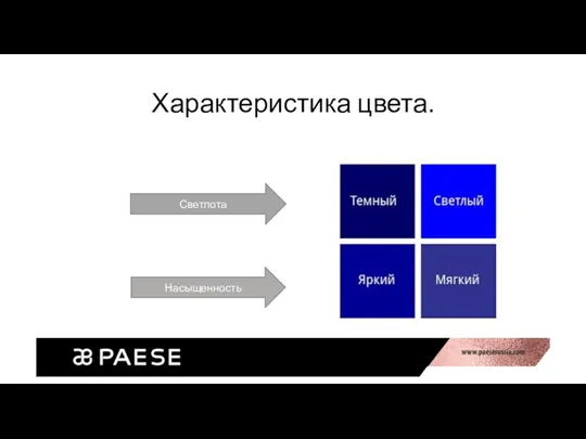 Характеристика цвета. Светлота Насыщенность