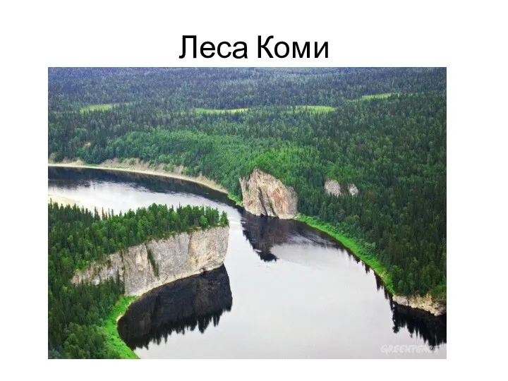 Леса Коми