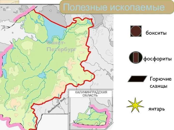 Санкт-Петербург бокситы фосфориты Горючие сланцы янтарь Полезные ископаемые