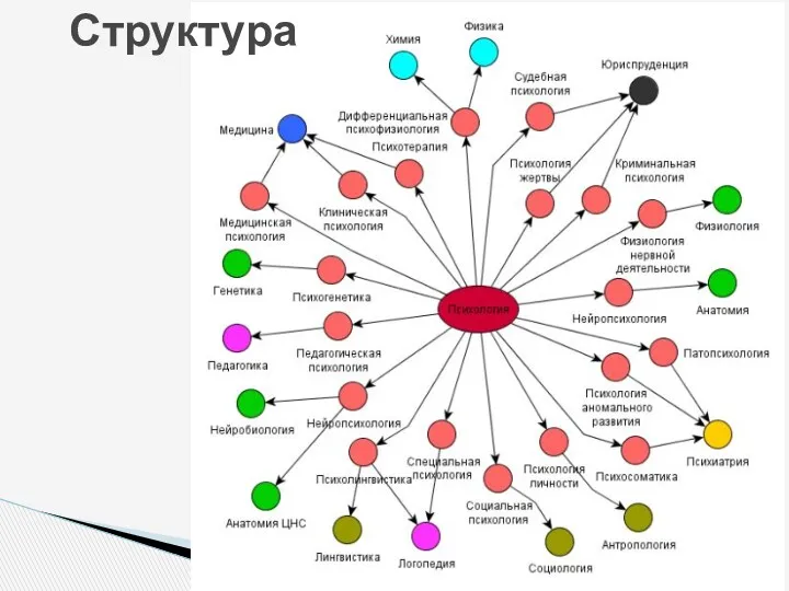 Структура