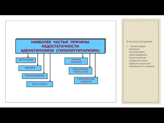 Гипопитуитаризм - типовая форма патологии аденогипофиза, заключающаяся в недостаточности содержания