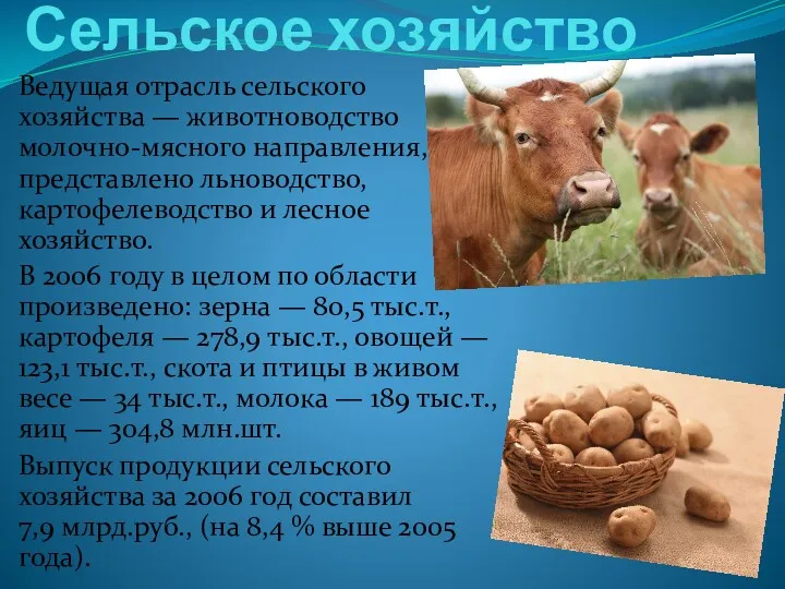 Сельское хозяйство Ведущая отрасль сельского хозяйства — животноводство молочно-мясного направления, представлено льноводство, картофелеводство