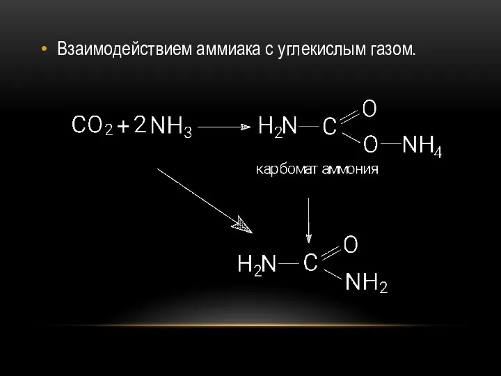 Взаимодействием аммиака с углекислым газом.