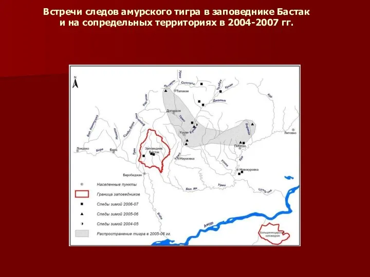 Встречи следов амурского тигра в заповеднике Бастак и на сопредельных территориях в 2004-2007 гг.