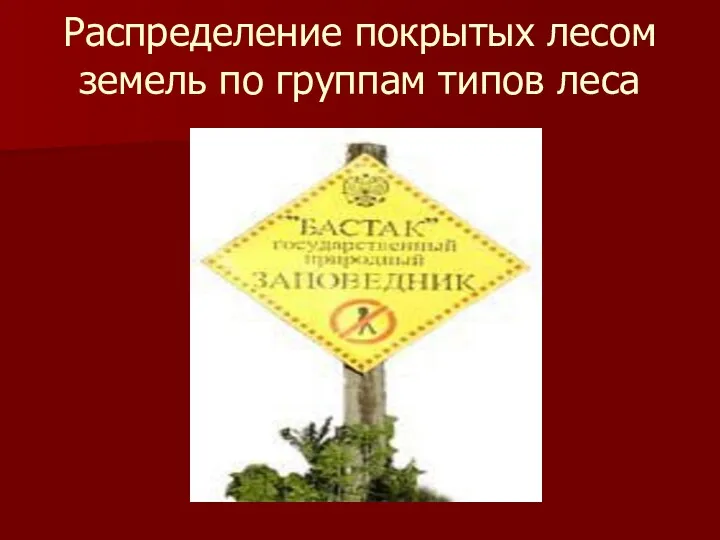 Распределение покрытых лесом земель по группам типов леса