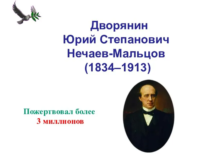 Дворянин Юрий Степанович Нечаев-Мальцов (1834–1913) Пожертвовал более 3 миллионов