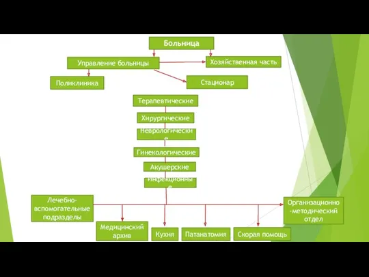 Больница Управление больницы Гинекологические Акушерские Хозяйственная часть Стационар Хирургические Поликлиника Терапевтические Неврологические Инфекционные