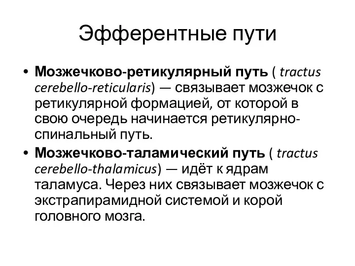 Эфферентные пути Мозжечково-ретикулярный путь ( tractus cerebello-reticularis) — связывает мозжечок