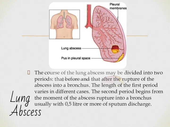 The course of the lung abscess may be divided into