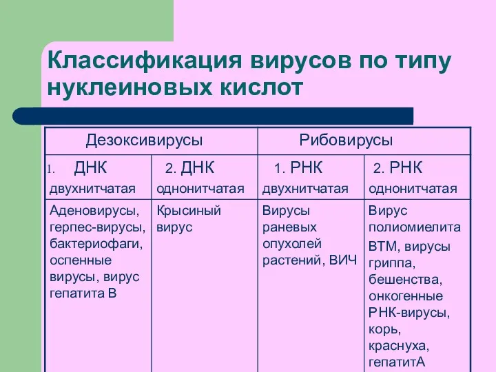 Классификация вирусов по типу нуклеиновых кислот