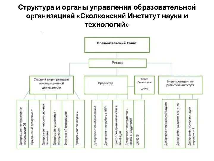 Структура и органы управления образовательной организацией «Сколковский Институт науки и технологий»