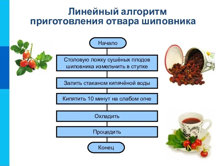 Начало Столовую ложку сушёных плодов шиповника измельчить в ступке Залить