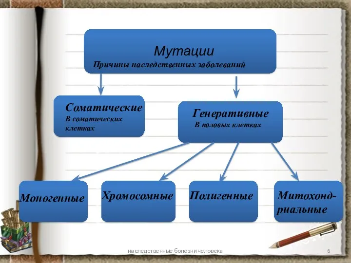 Мутации Причины наследственных заболеваний Соматические В соматических клетках Генеративные В