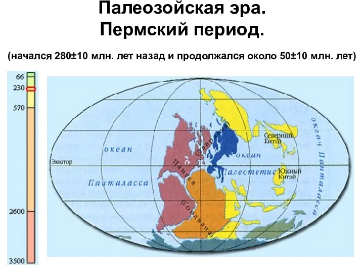 Палеозойская эра. Пермский период. (начался 280±10 млн. лет назад и продолжался около 50±10 млн. лет)