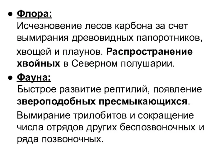 Флора: Исчезновение лесов карбона за счет вымирания древовидных папоротников, хвощей