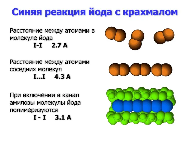 Синяя реакция йода с крахмалом Расстояние между атомами в молекуле