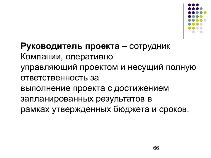 Руководитель проекта – сотрудник Компании, оперативно управляющий проектом и несущий