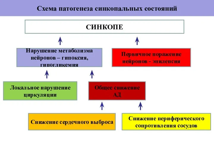 Схема патогенеза синкопальных состояний СИНКОПЕ Нарушение метаболизма нейронов – гипоксия, гипогликемия Первичное поражение