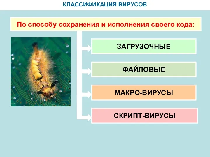 КЛАССИФИКАЦИЯ ВИРУСОВ По способу сохранения и исполнения своего кода: ЗАГРУЗОЧНЫЕ ФАЙЛОВЫЕ МАКРО-ВИРУСЫ СКРИПТ-ВИРУСЫ