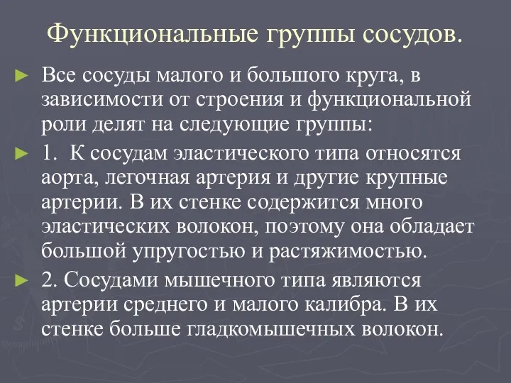 Функциональные группы сосудов. Все сосуды малого и большого круга, в