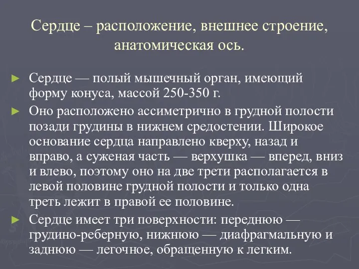 Сердце – расположение, внешнее строение, анатомическая ось. Сердце — полый