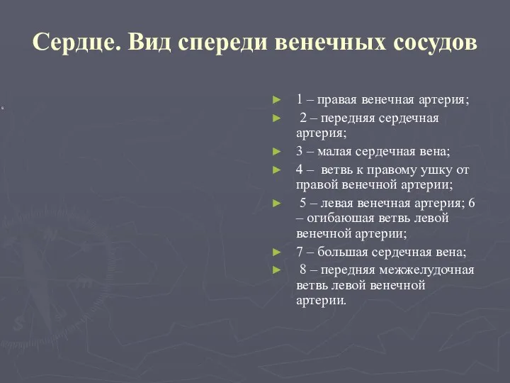 Сердце. Вид спереди венечных сосудов 1 – правая венечная артерия;