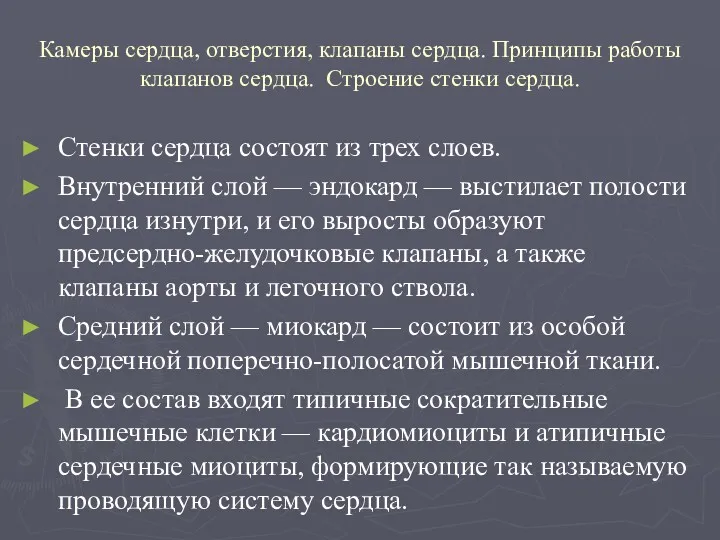 Камеры сердца, отверстия, клапаны сердца. Принципы работы клапанов сердца. Строение