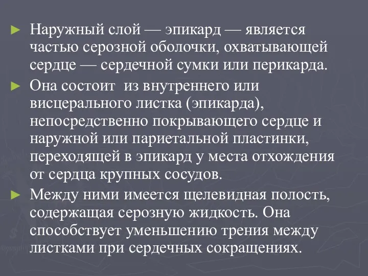 Наружный слой — эпикард — является частью серозной оболочки, охватывающей